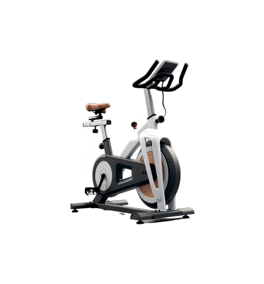 Gym Cycle